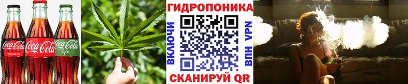 гидра ссылка  Мариинский Посад  Canna-Cookies марихуана 