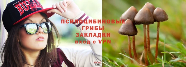 стафф Баксан