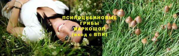шишки Балахна