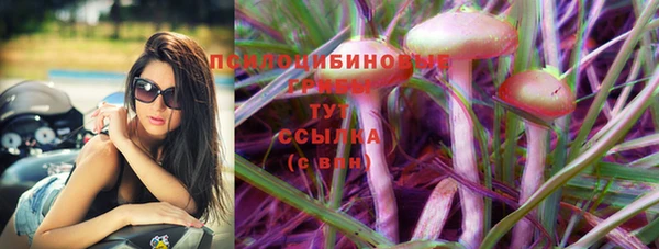 шишки Балахна